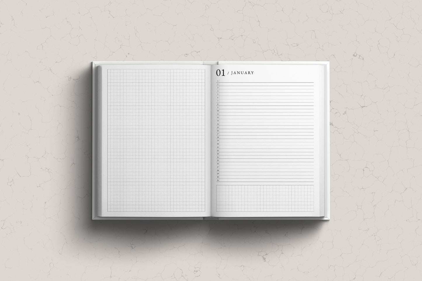 PRE-ORDER | 2026 B6 COMPACT