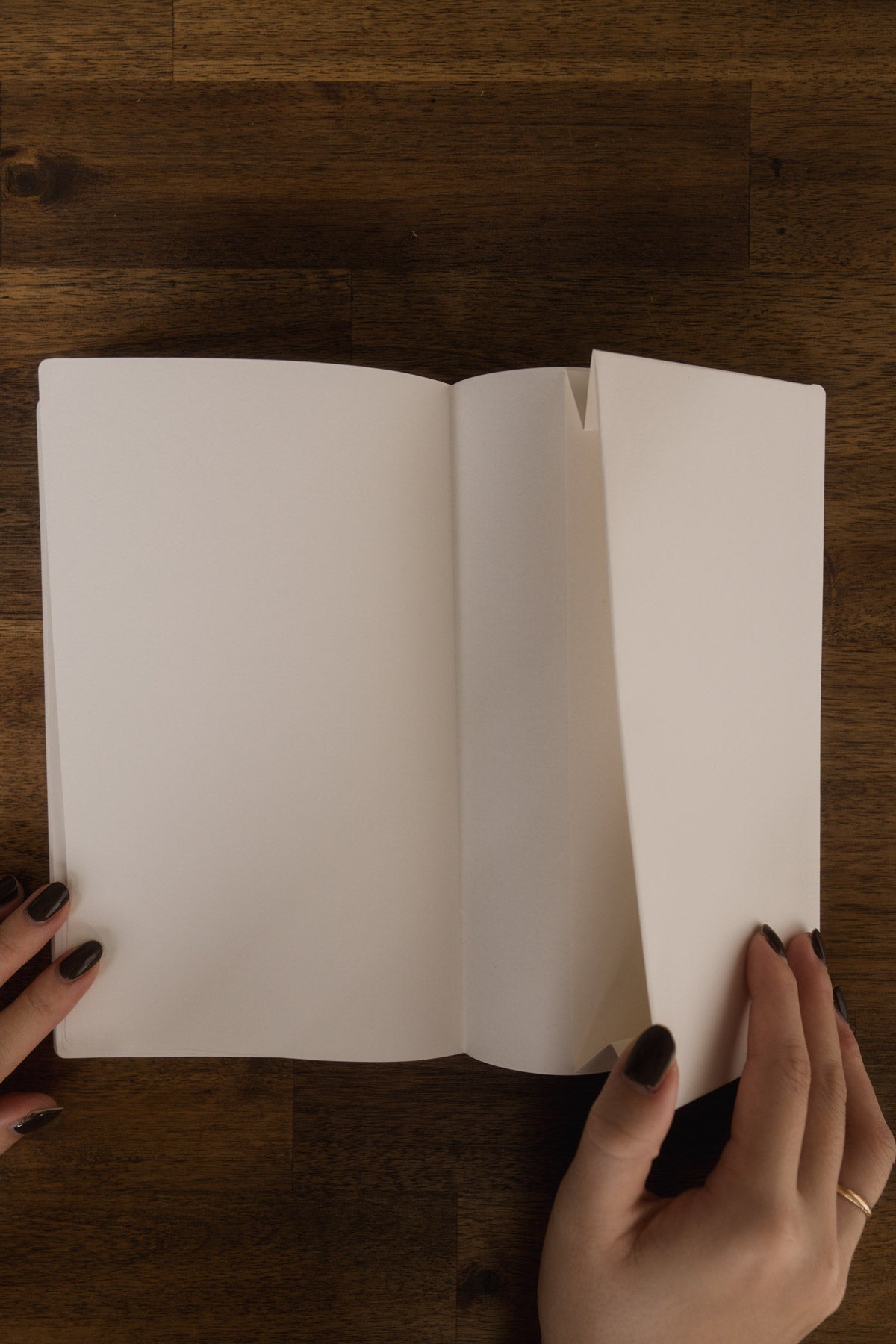 2026 Chronicle Planner UNDATED - TN Size