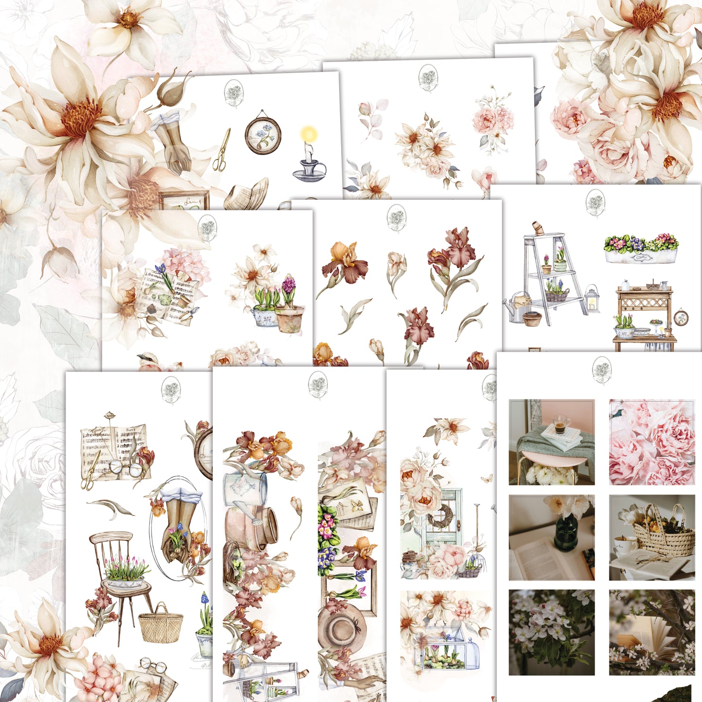 Life is flower for which love is the honey Bundle