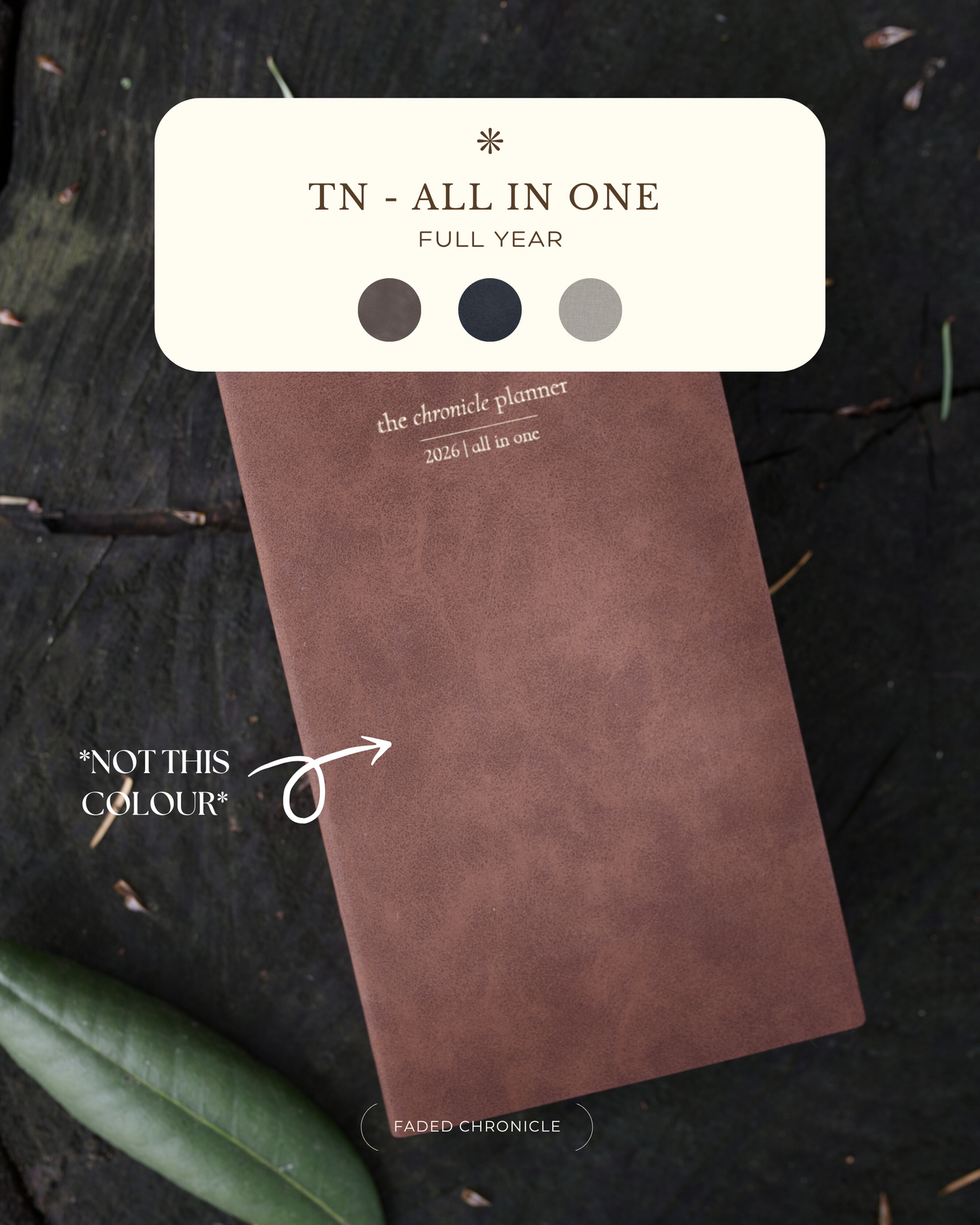 PRE-ORDER | 2026 ONE OF EACH BUNDLE