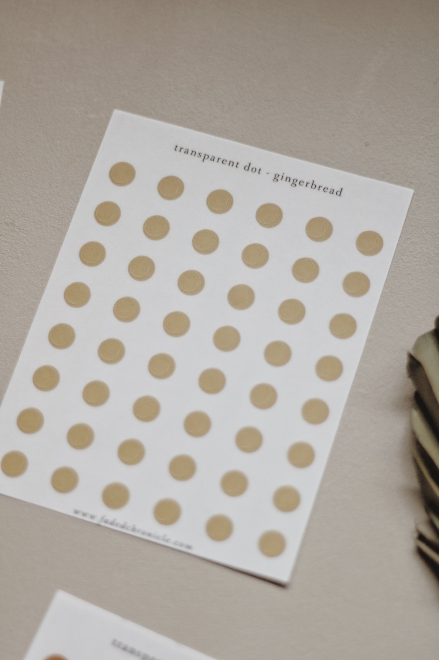 Transparent dot - lunch in the wood