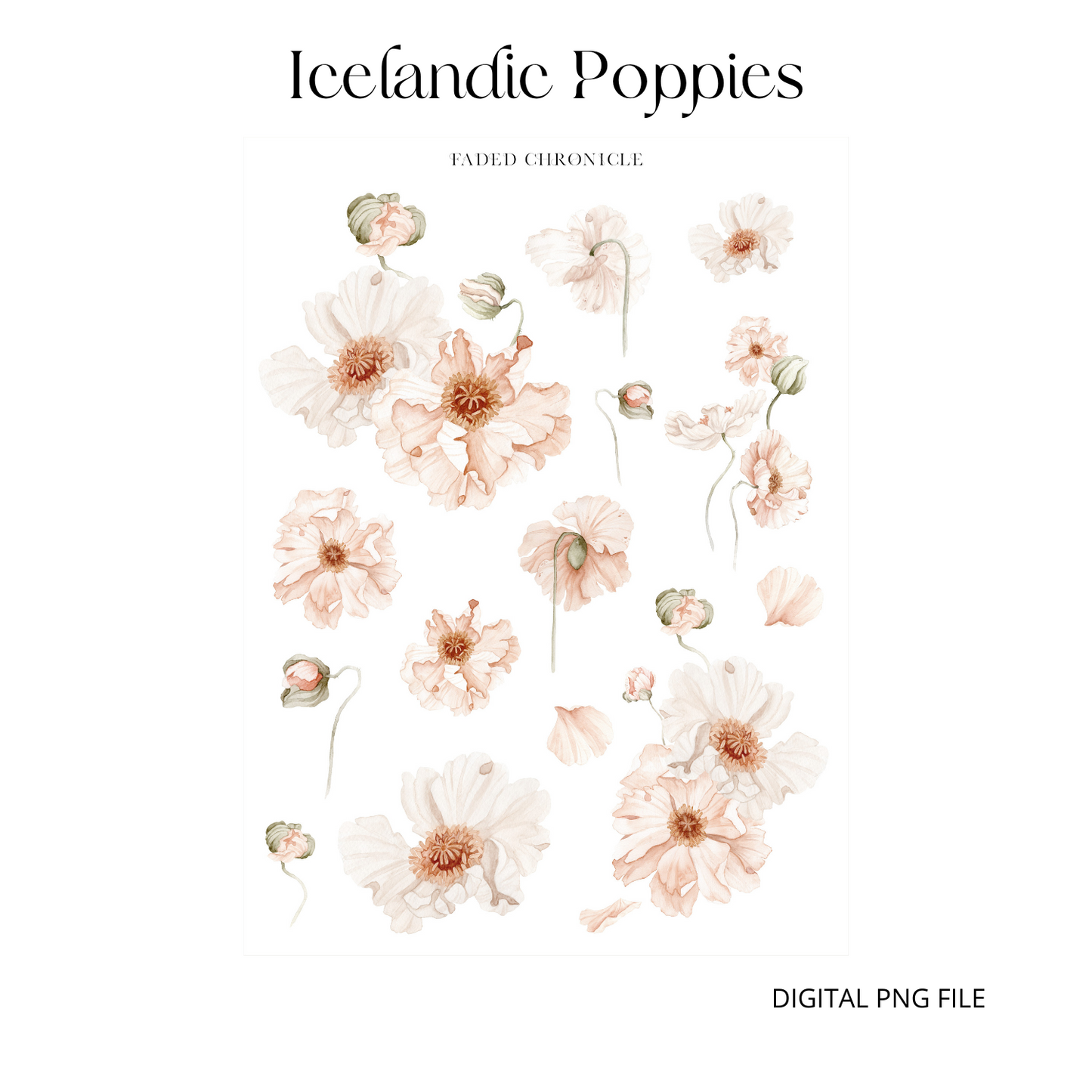 Printable Icelandic Poppies Deco Sticker (white background)