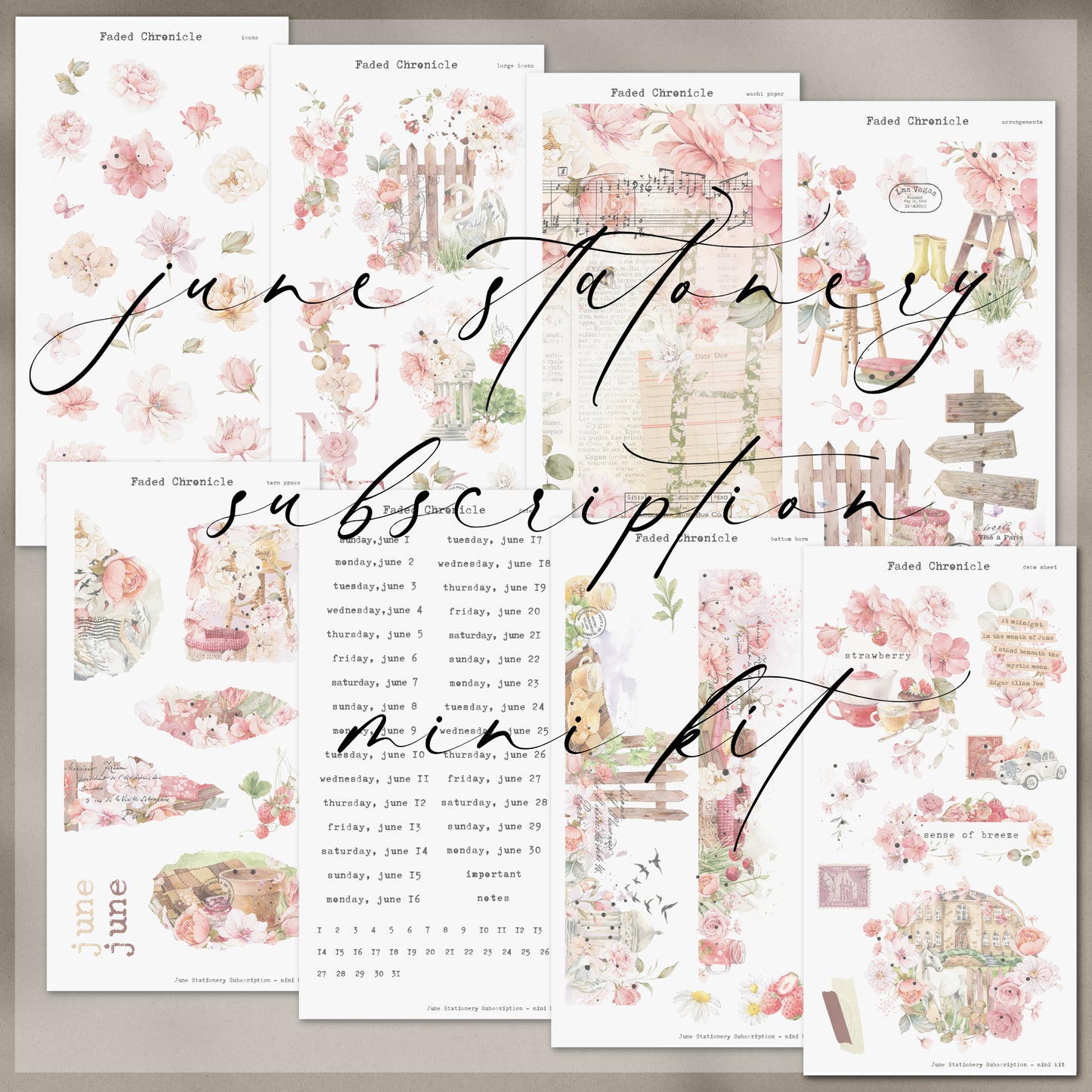 2025 June Stationery Kit Extra - Delux Kit