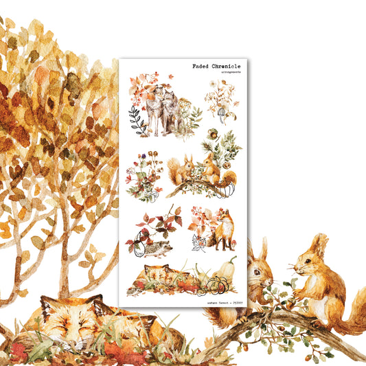 Autumn Forest - Arrangements