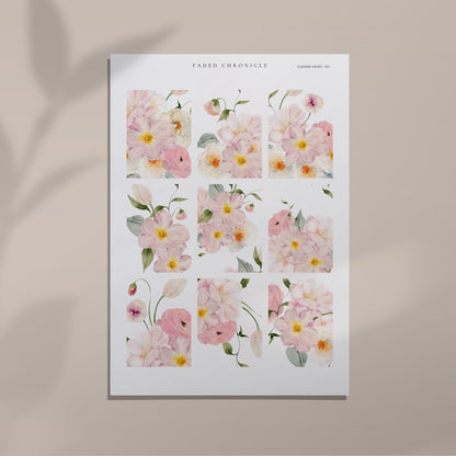 Summer Night - Blush flower full box
