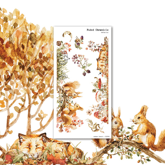 Autumn Forest - Bottom bar