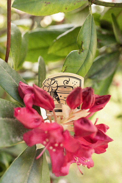 Our Favourite Things - LI X FC Special Brass Clip