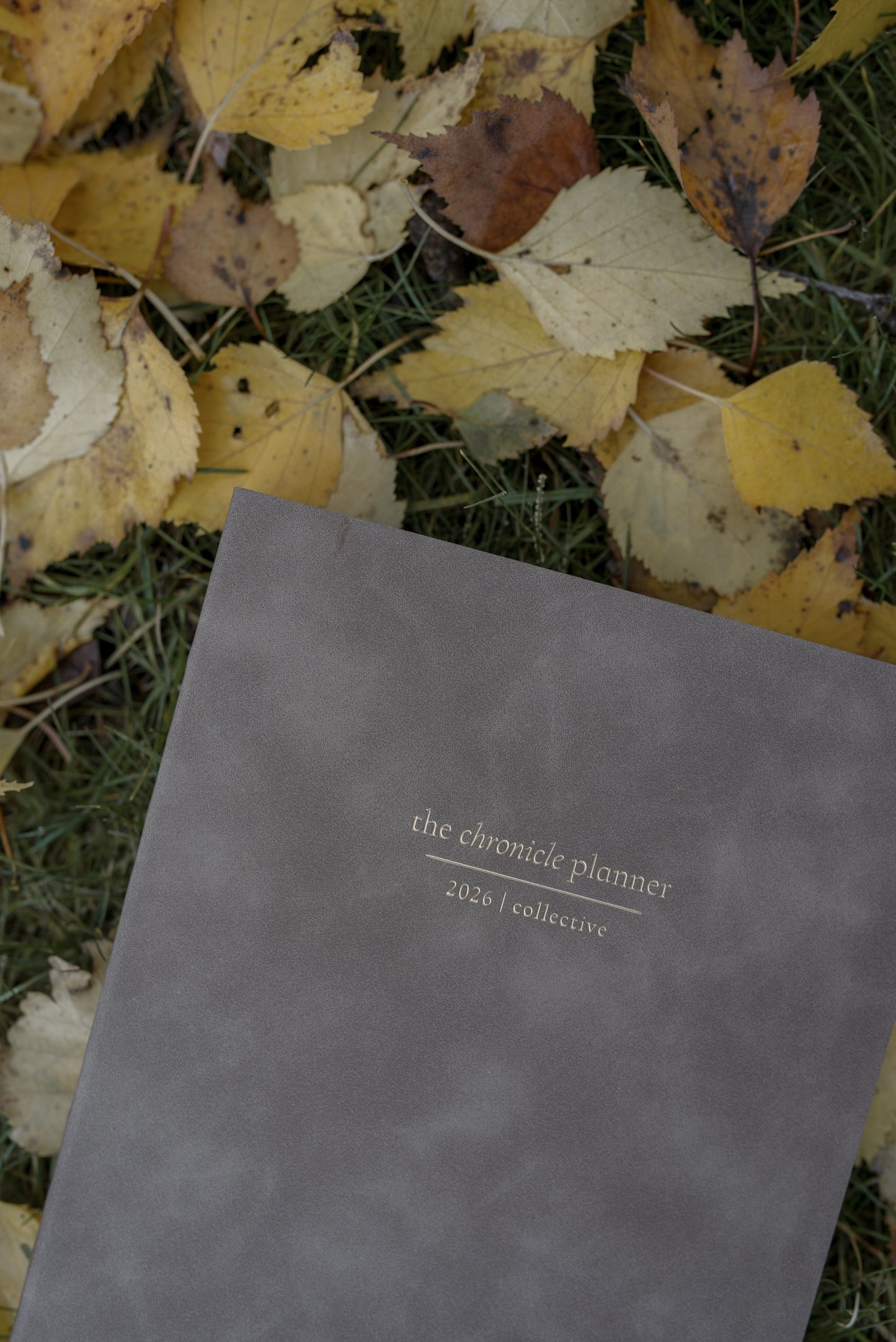 2026 Chronicle Planner - A5 FULL YEAR