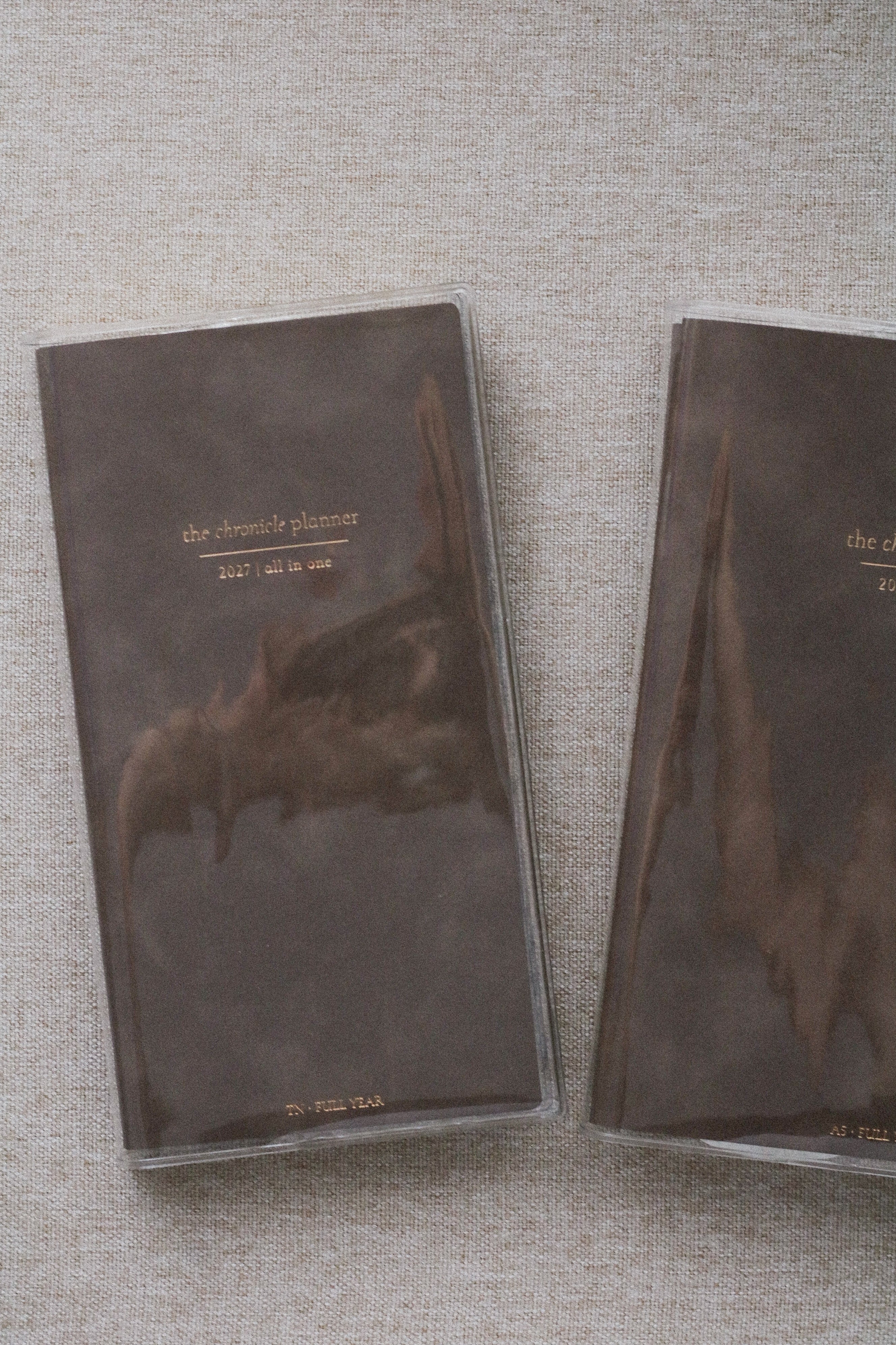 Faded Chronicle X CatspressoCo - PVC Cover