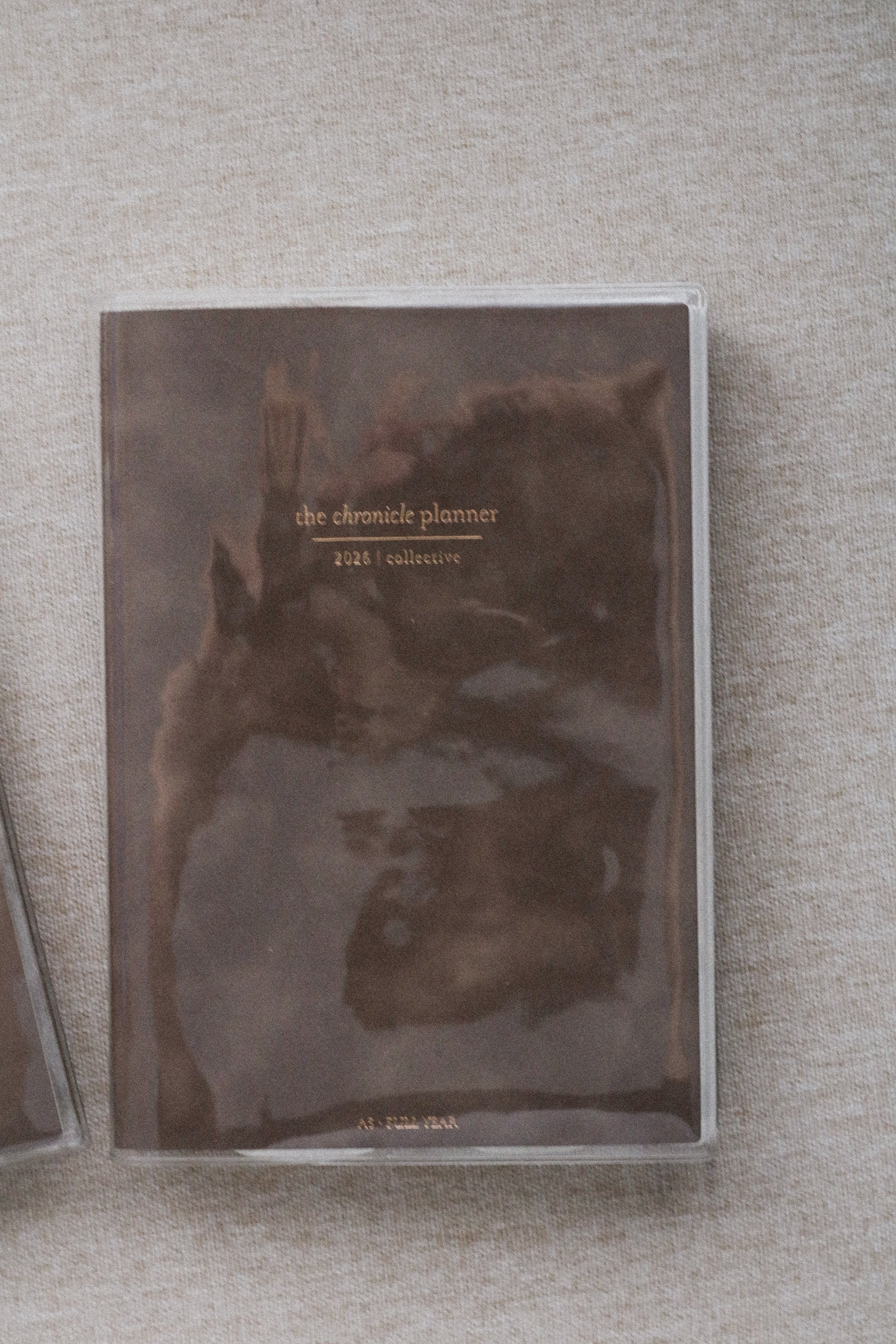 Faded Chronicle X CatspressoCo - PVC Cover
