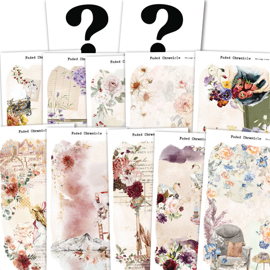 PRE-ORDER | 2026 STICKER BUNDLE