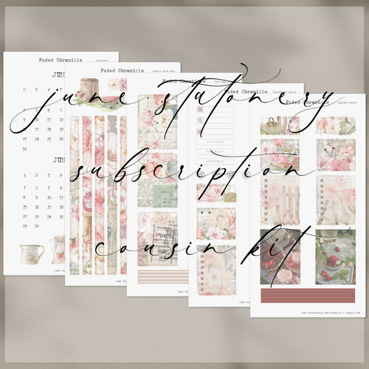 2025 June Stationery Kit Extra - Planner Sticker Kit