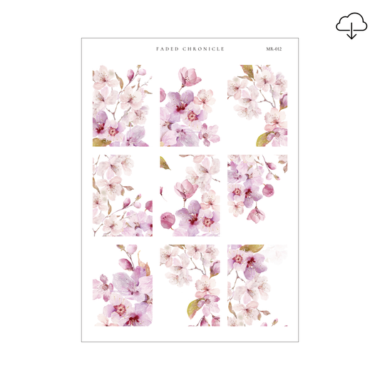 [Digital] Spring Romance - Full Box 2