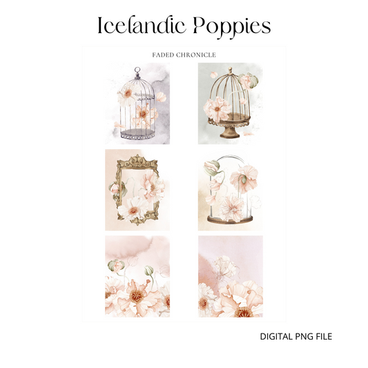 Printable Icelandic Poppies Full Box Sticker (1.25" wide)